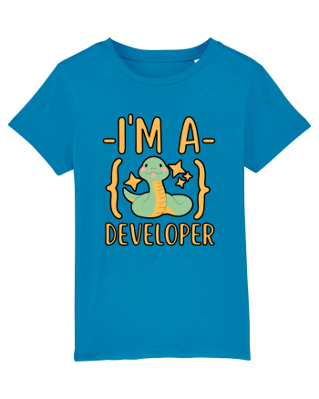 I'm A Python Developer Azur