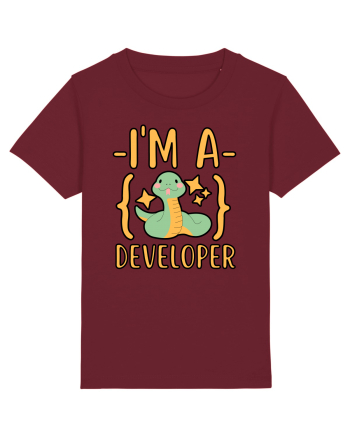 I'm A Python Developer Burgundy