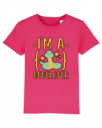 I'm A Python Developer Raspberry