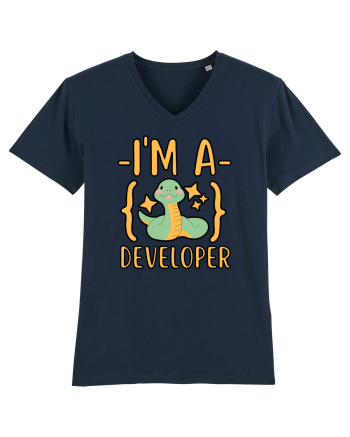 I'm A Python Developer French Navy