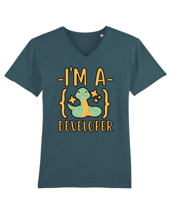 I'm A Python Developer Stargazer