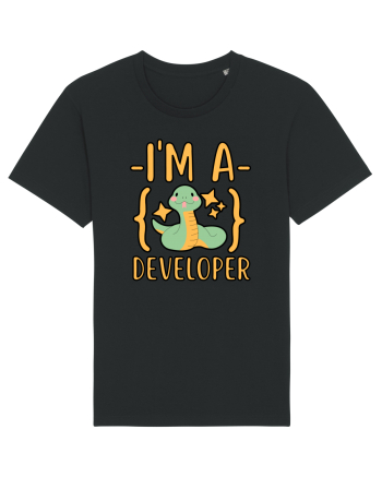 I'm A Python Developer Black