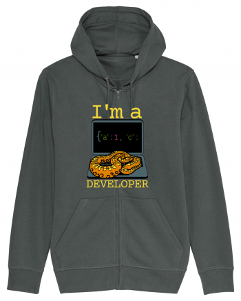 I'm A Python Developer Anthracite