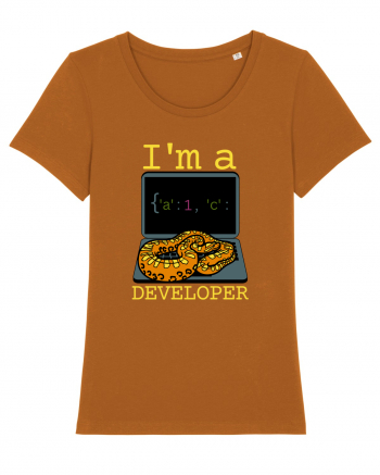 I'm A Python Developer Roasted Orange
