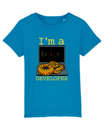 I'm A Python Developer Azur