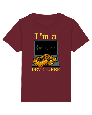 I'm A Python Developer Burgundy