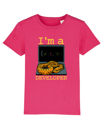I'm A Python Developer Raspberry