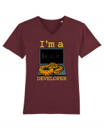 I'm A Python Developer Tricou mânecă scurtă guler V Bărbat Presenter