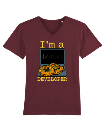 I'm A Python Developer Burgundy