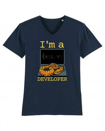 I'm A Python Developer French Navy