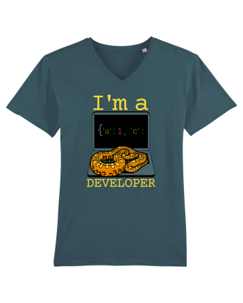 I'm A Python Developer Stargazer