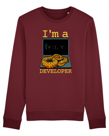 I'm A Python Developer Bluză mânecă lungă Unisex Rise