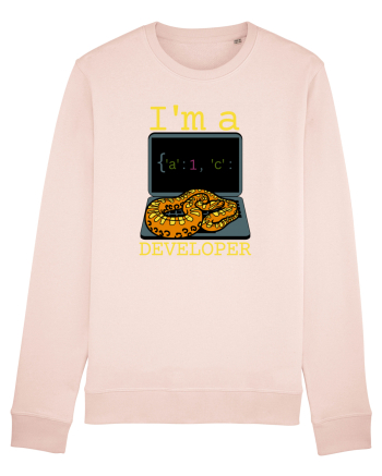 I'm A Python Developer Candy Pink