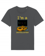 I'm A Python Developer Tricou mânecă scurtă Unisex Rocker