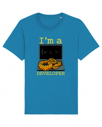 I'm A Python Developer Azur