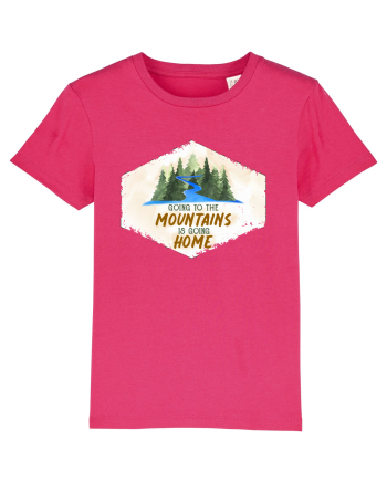 To the mountains Raspberry