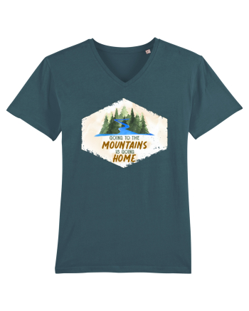 To the mountains Stargazer