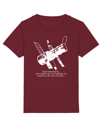 Hubble Telescope Burgundy
