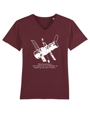 Hubble Telescope Burgundy