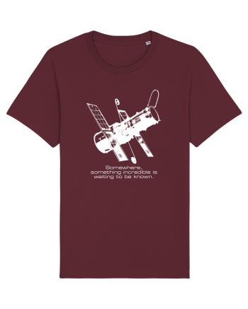 Hubble Telescope Burgundy