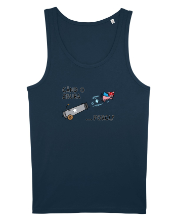 Când o zbura... porcu' Navy