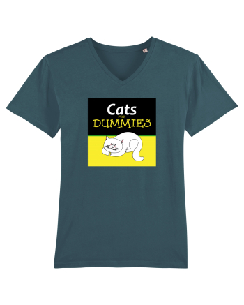 Cats for Dummies Stargazer