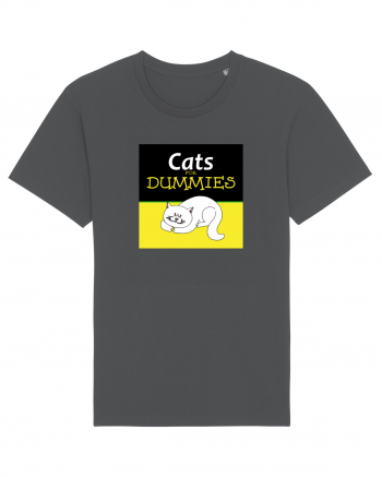 Cats for Dummies Anthracite