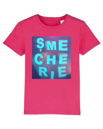 Șmecherie - v3 Raspberry