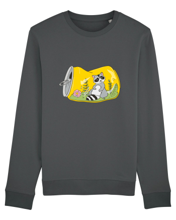 Raton in cutie Anthracite