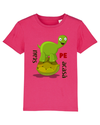 stau PE acasă Raspberry