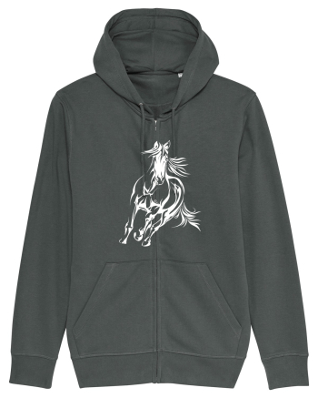 Horse whisperer Anthracite