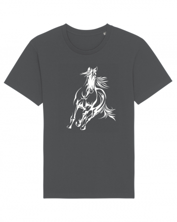 Horse whisperer Anthracite