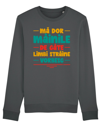 Mă dor mâinile de câte limbi străine vorbesc - V2 Anthracite