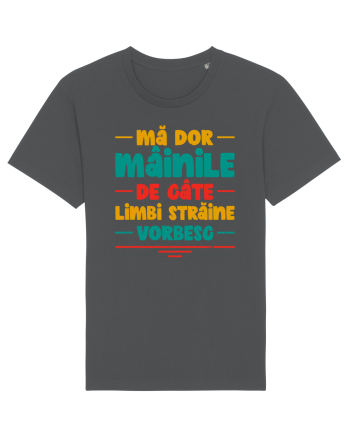 Mă dor mâinile de câte limbi străine vorbesc - V2 Anthracite