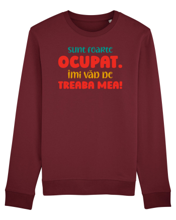 Sunt ocupat Burgundy