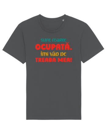 Sunt ocupată Anthracite