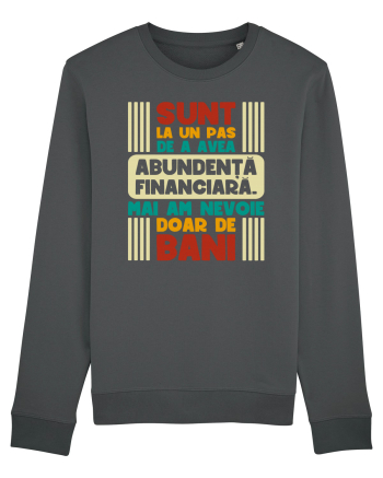 Abundență financiară V2 Anthracite