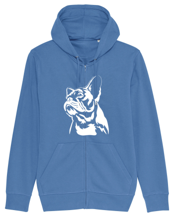 French bulldog Bright Blue