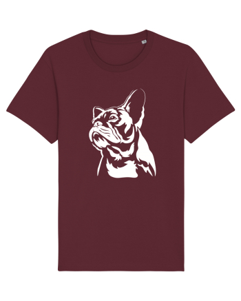 French bulldog Burgundy