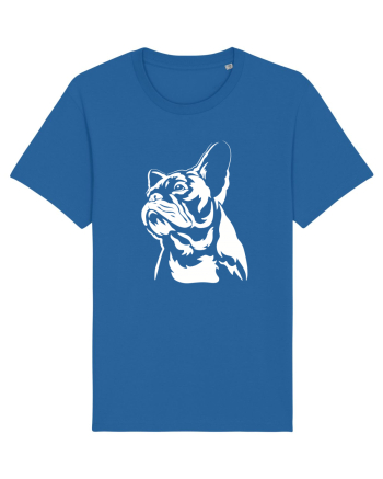 French bulldog Royal Blue