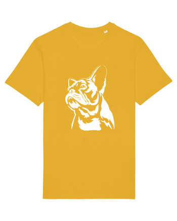 French bulldog Spectra Yellow