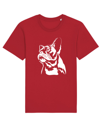 French bulldog Red