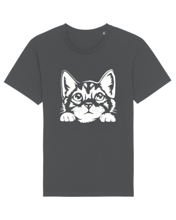 Kitty Anthracite