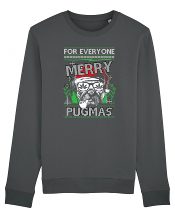 Merry Pugmas Anthracite