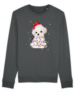 Bishon Little Xmas Bluză mânecă lungă Unisex Rise