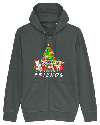 Christmas Chihuahua Friends Anthracite