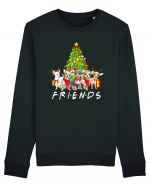Christmas Chihuahua Friends Bluză mânecă lungă Unisex Rise