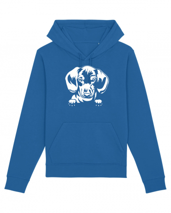 Dachshund Royal Blue