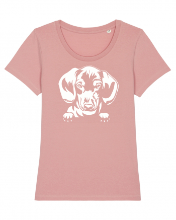 Dachshund Canyon Pink