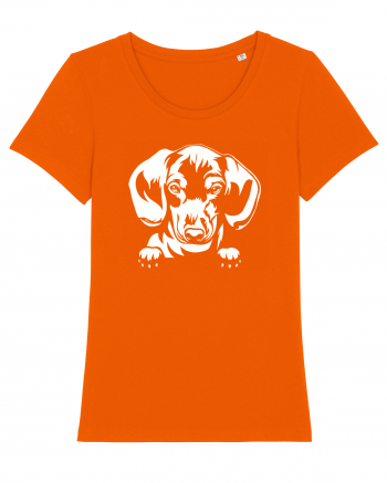 Dachshund Bright Orange